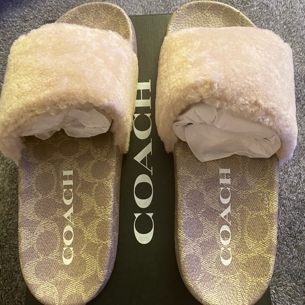 Coach slides